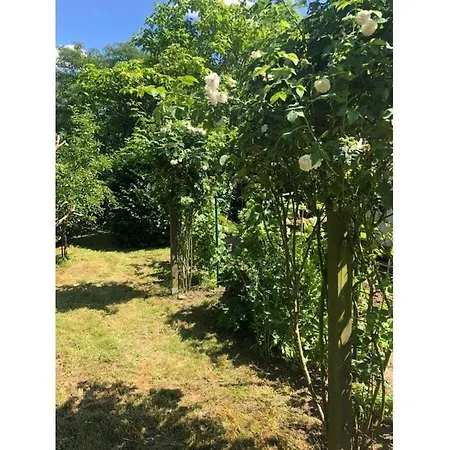 Apartamento Meerling H *